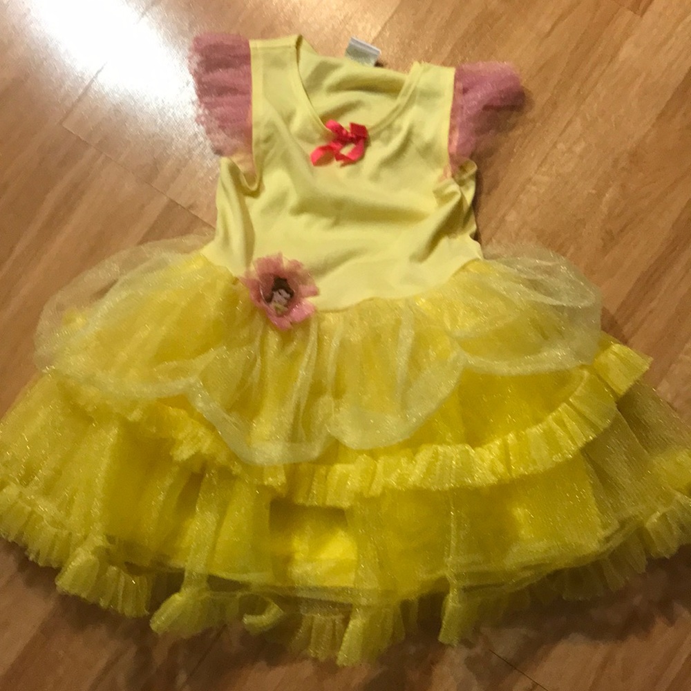 Disney Belle costume